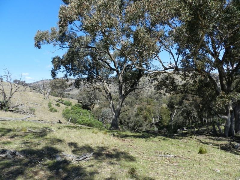 Lot 3 Greenmantle Road, Bigga NSW 2583