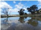 Lot 4 Greenmantle Road, Bigga NSW 2583