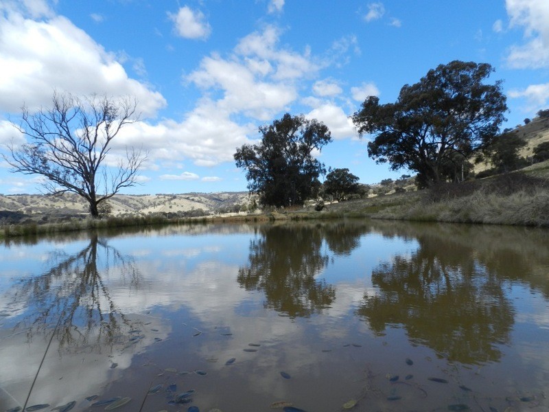Lot 4 Greenmantle Road, Bigga NSW 2583