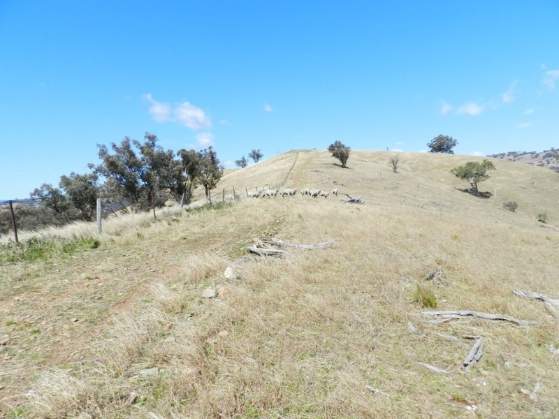 Lot 4 Greenmantle Road, Bigga NSW 2583