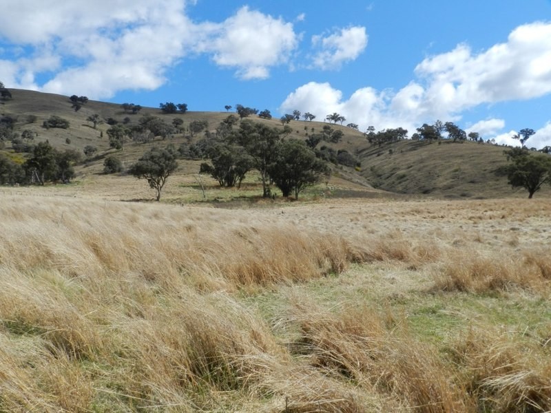 Lot 4 Greenmantle Road, Bigga NSW 2583