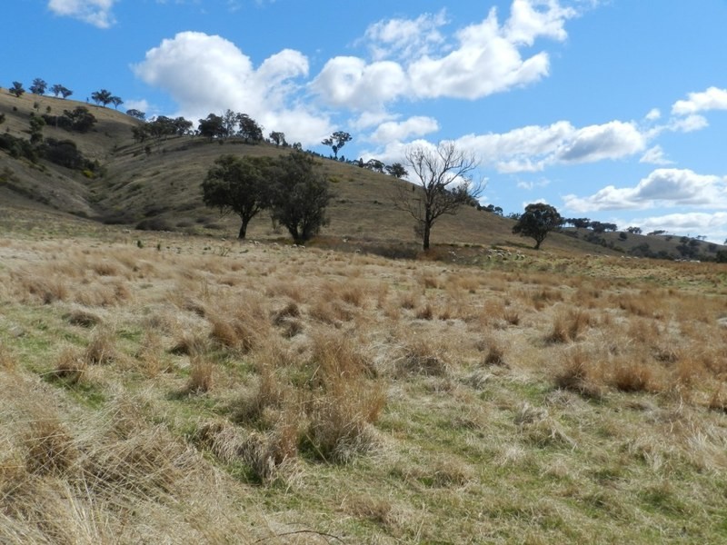 Lot 4 Greenmantle Road, Bigga NSW 2583