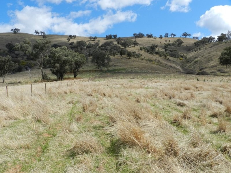 Lot 4 Greenmantle Road, Bigga NSW 2583