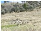 Lot 4 Greenmantle Road, Bigga NSW 2583