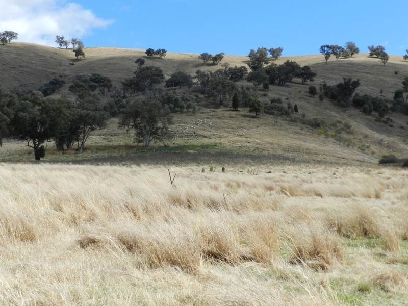 Lot 4 Greenmantle Road, Bigga NSW 2583