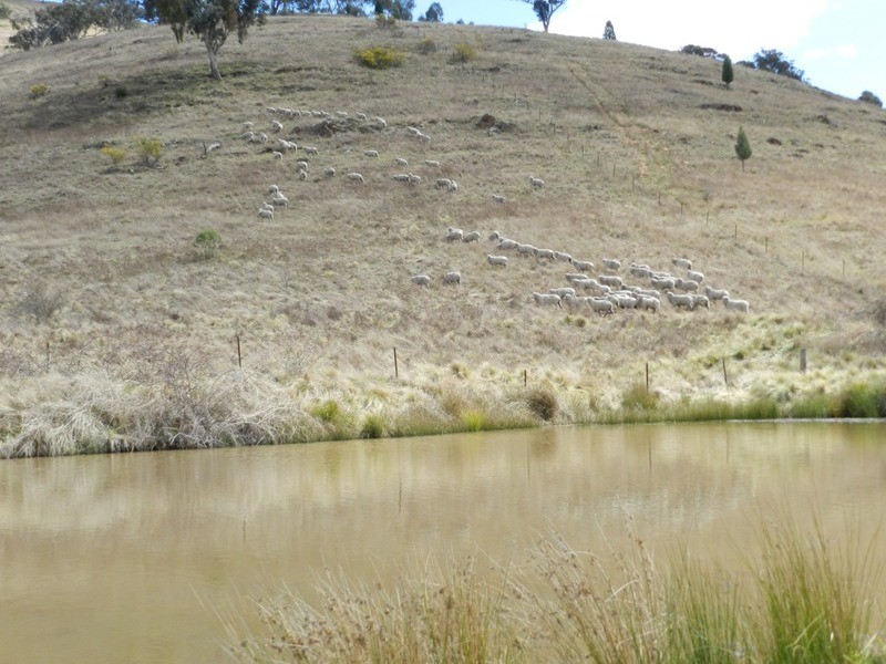 Lot 4 Greenmantle Road, Bigga NSW 2583