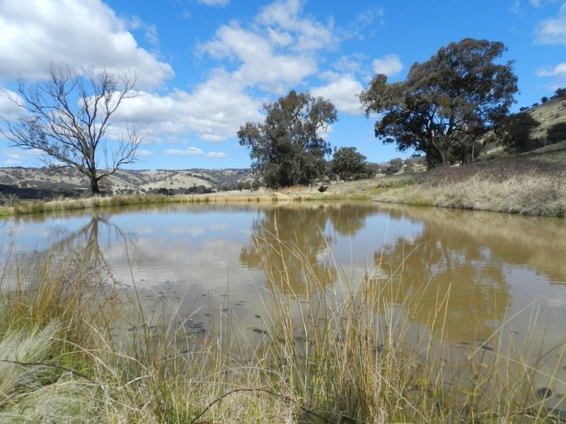 Lot 4 Greenmantle Road, Bigga NSW 2583