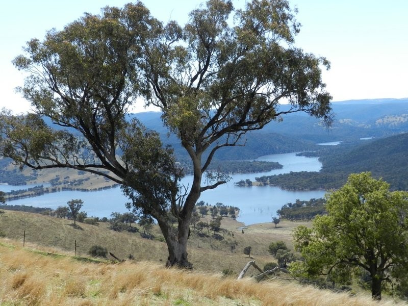 Lot 6 Greenmantle Road, Bigga NSW 2583