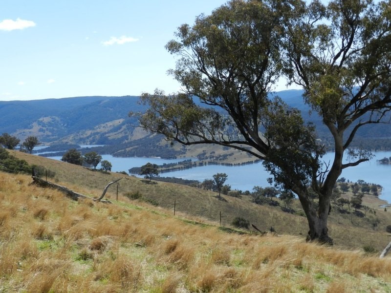 Lot 6 Greenmantle Road, Bigga NSW 2583