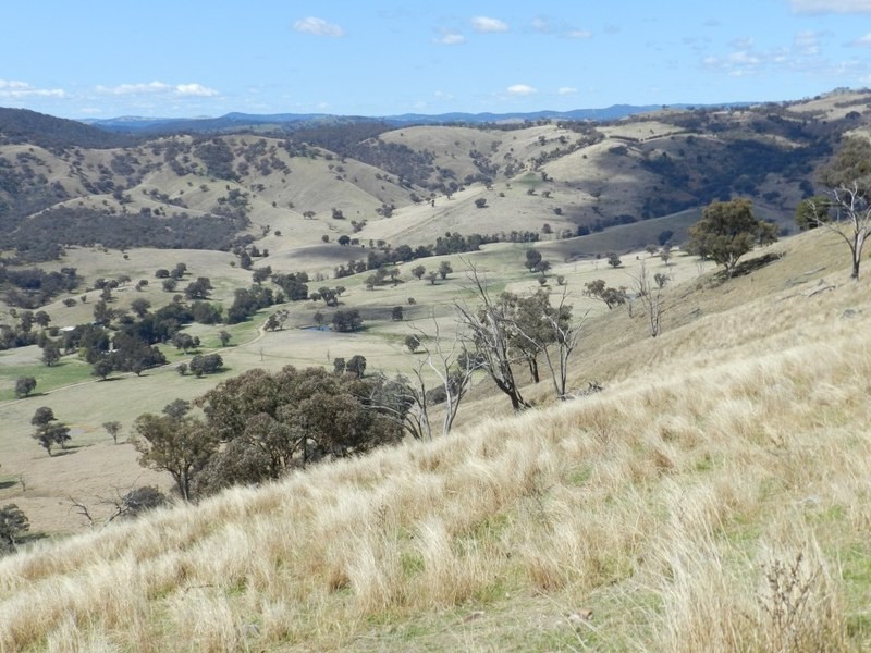 Lot 6 Greenmantle Road, Bigga NSW 2583