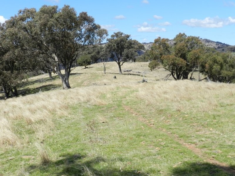 Lot 6 Greenmantle Road, Bigga NSW 2583