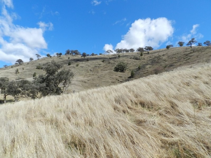 Lot 6 Greenmantle Road, Bigga NSW 2583