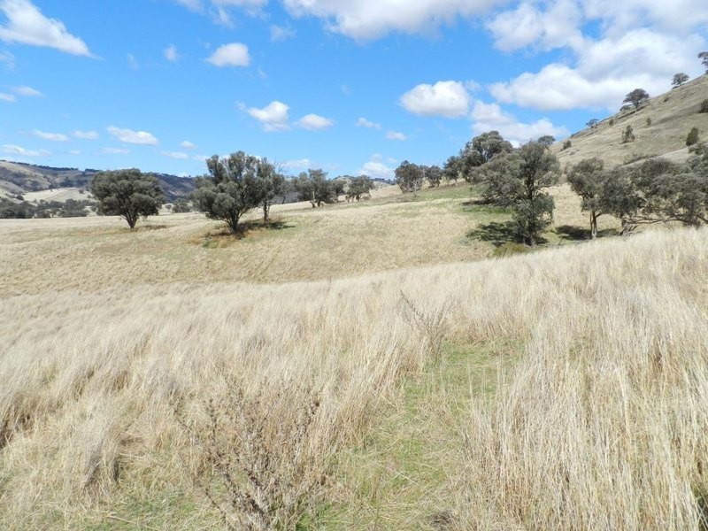 Lot 6 Greenmantle Road, Bigga NSW 2583