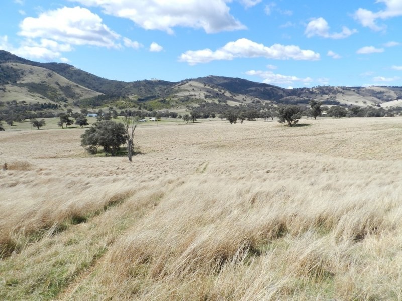 Lot 6 Greenmantle Road, Bigga NSW 2583