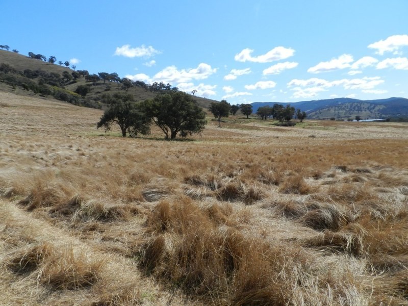 Lot 6 Greenmantle Road, Bigga NSW 2583