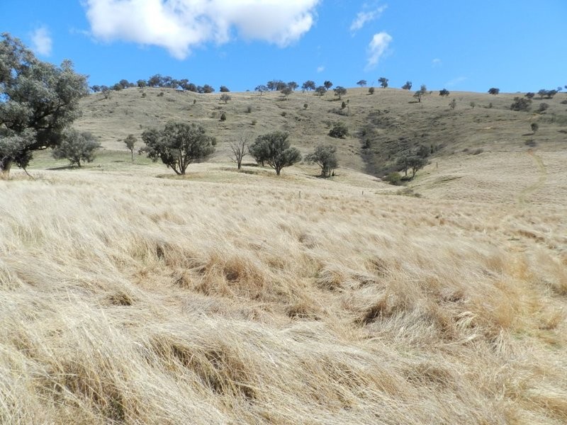 Lot 6 Greenmantle Road, Bigga NSW 2583