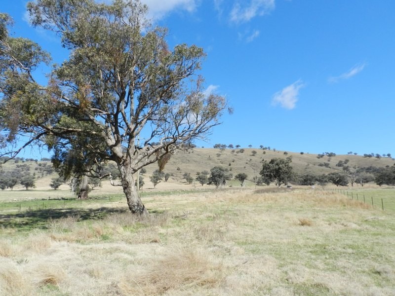 Lot 8 Greenmantle Road, Bigga NSW 2583