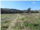 Lot 8 Greenmantle Road, Bigga NSW 2583