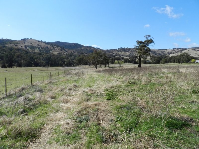 Lot 8 Greenmantle Road, Bigga NSW 2583