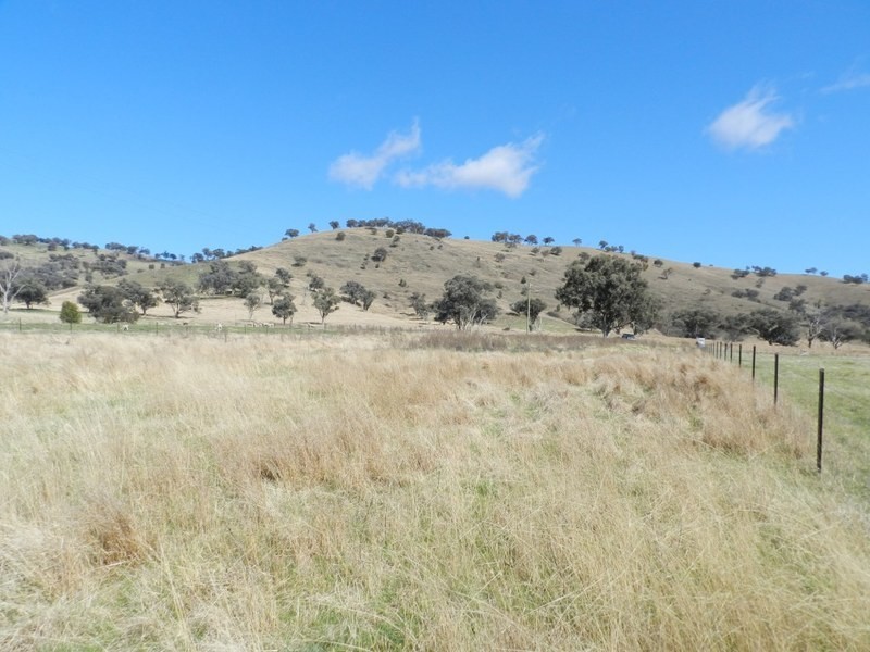 Lot 8 Greenmantle Road, Bigga NSW 2583