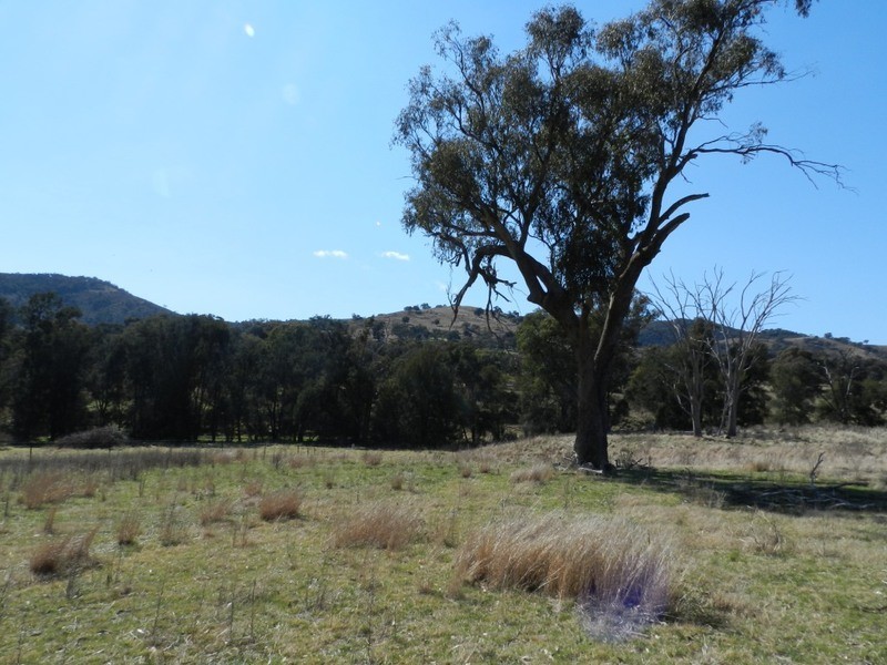 Lot 8 Greenmantle Road, Bigga NSW 2583