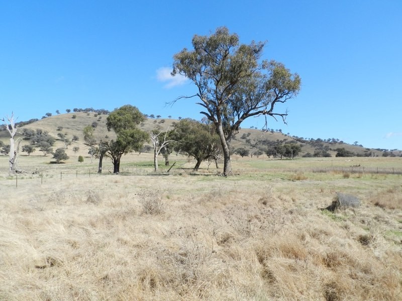 Lot 8 Greenmantle Road, Bigga NSW 2583