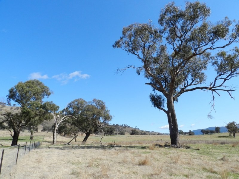 Lot 8 Greenmantle Road, Bigga NSW 2583