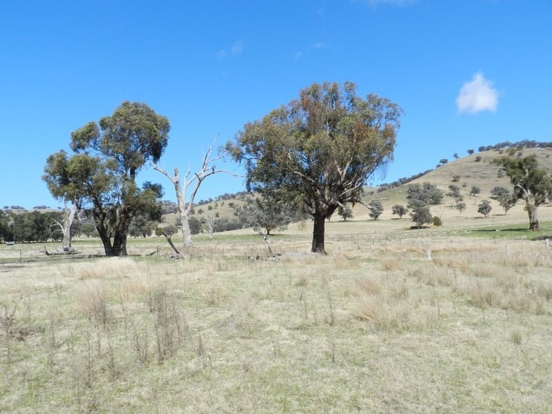 Lot 8 Greenmantle Road, Bigga NSW 2583