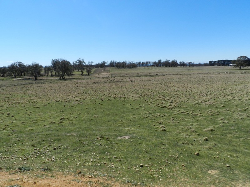 33 Tyrl Tyrl  Road, Laggan NSW 2583