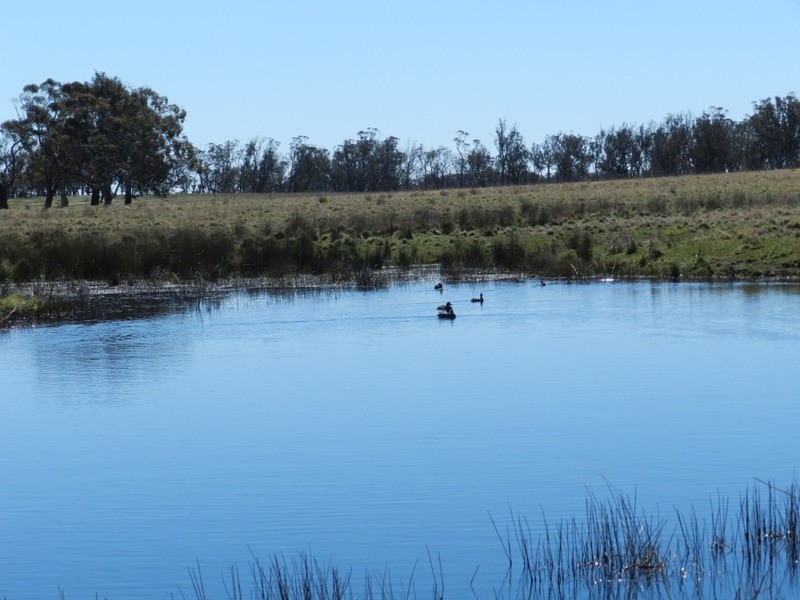 33 Tyrl Tyrl  Road, Laggan NSW 2583