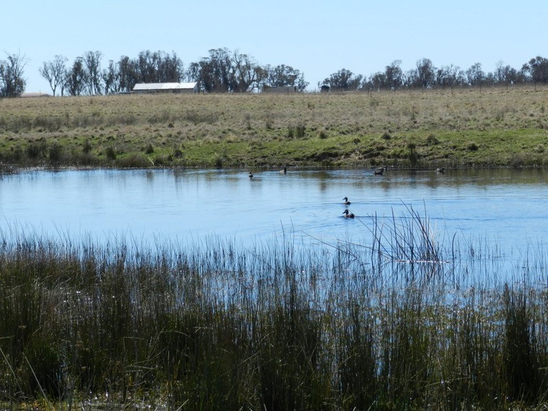 33 Tyrl Tyrl  Road, Laggan NSW 2583