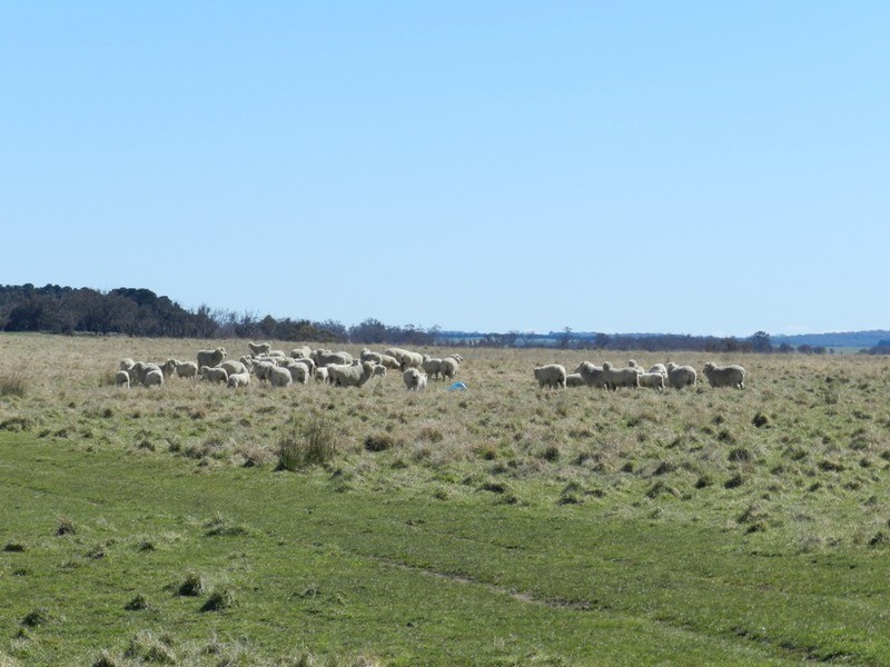 33 Tyrl Tyrl  Road, Laggan NSW 2583