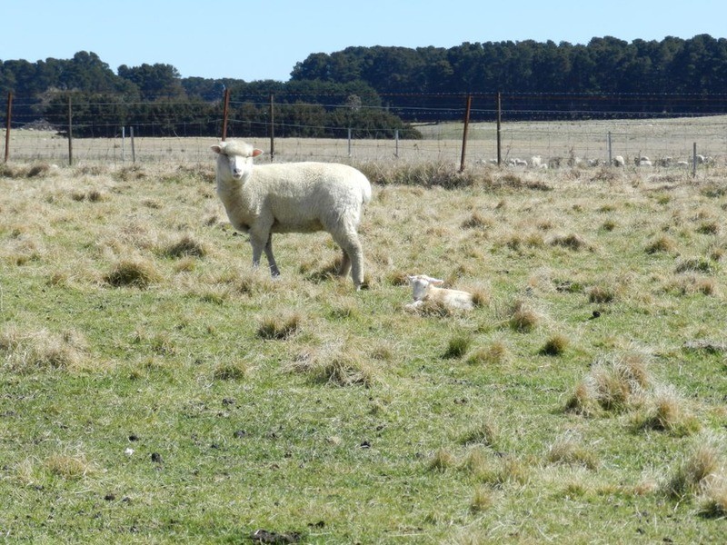 33 Tyrl Tyrl  Road, Laggan NSW 2583