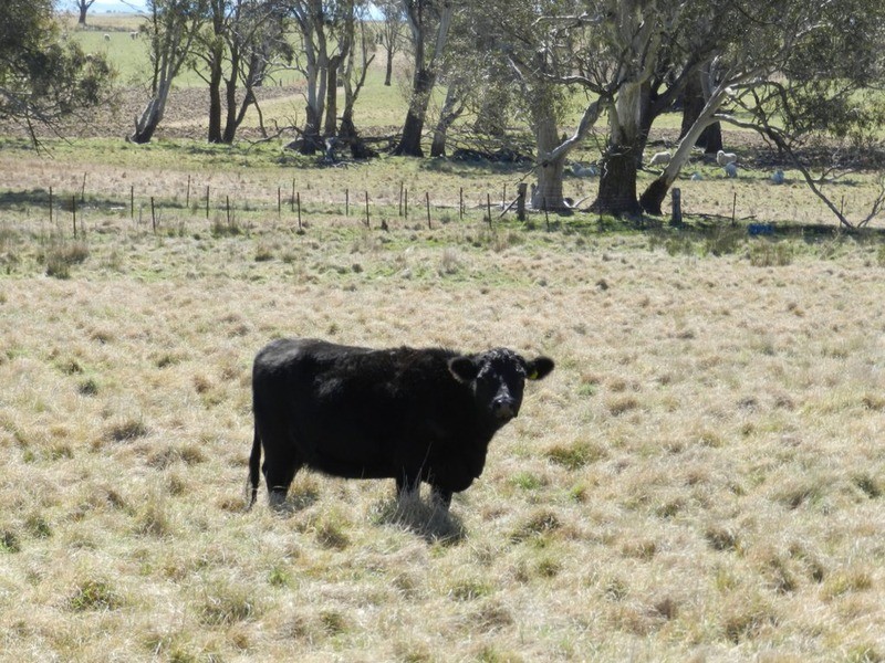 33 Tyrl Tyrl  Road, Laggan NSW 2583