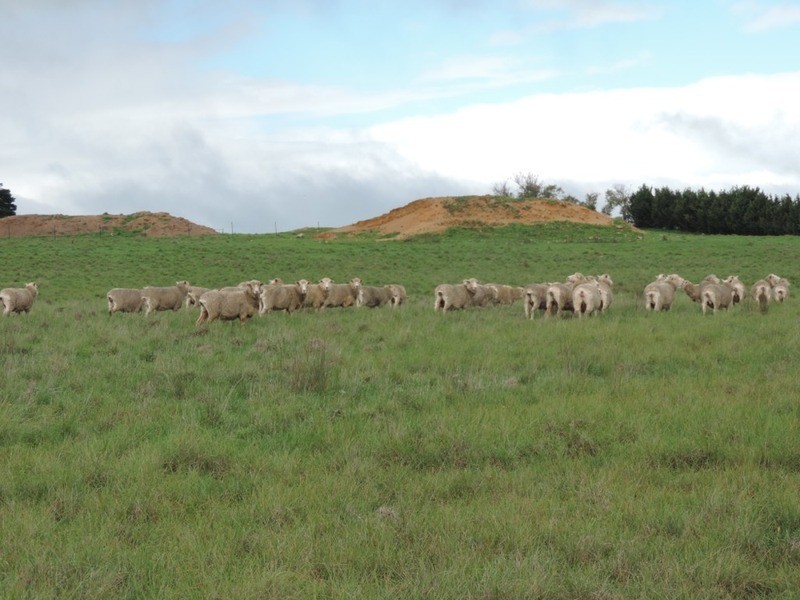 33 Tyrl Tyrl  Road, Laggan NSW 2583