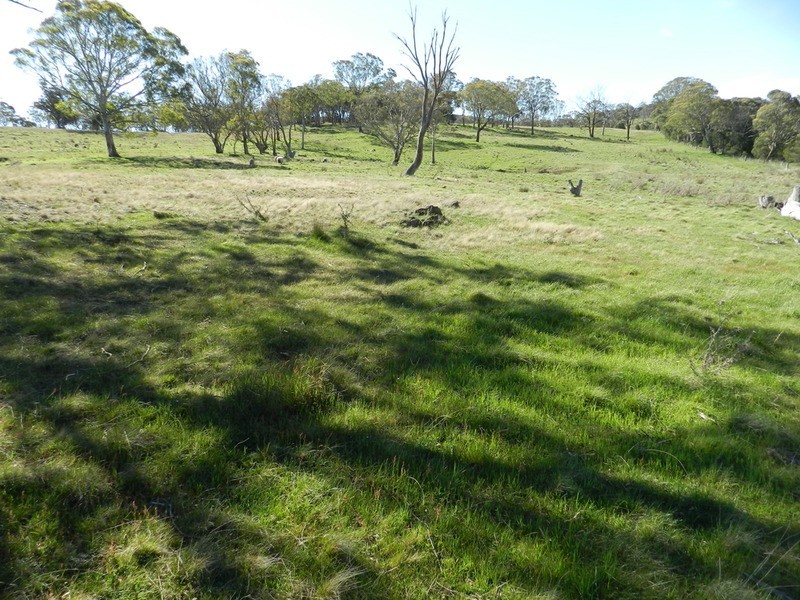 “Oak Hill” Mullins Creek  Road, Breadalbane NSW 2581