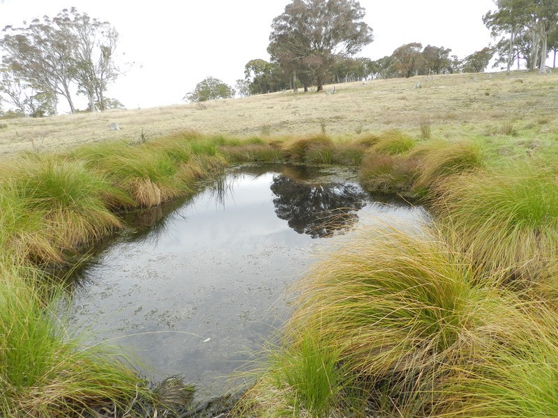 “Oak Hill” Mullins Creek  Road, Breadalbane NSW 2581