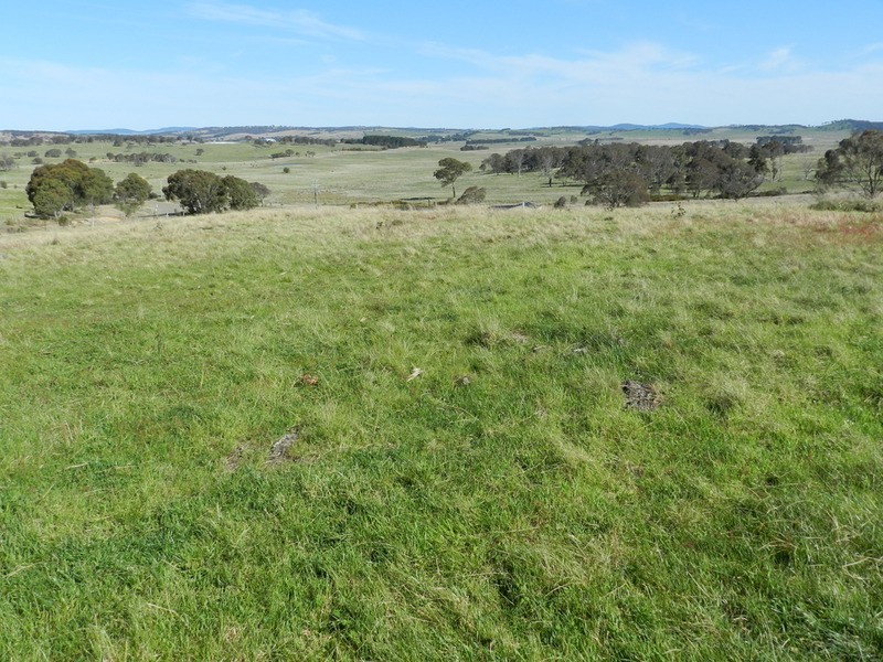 “Oak Hill” Mullins Creek  Road, Breadalbane NSW 2581