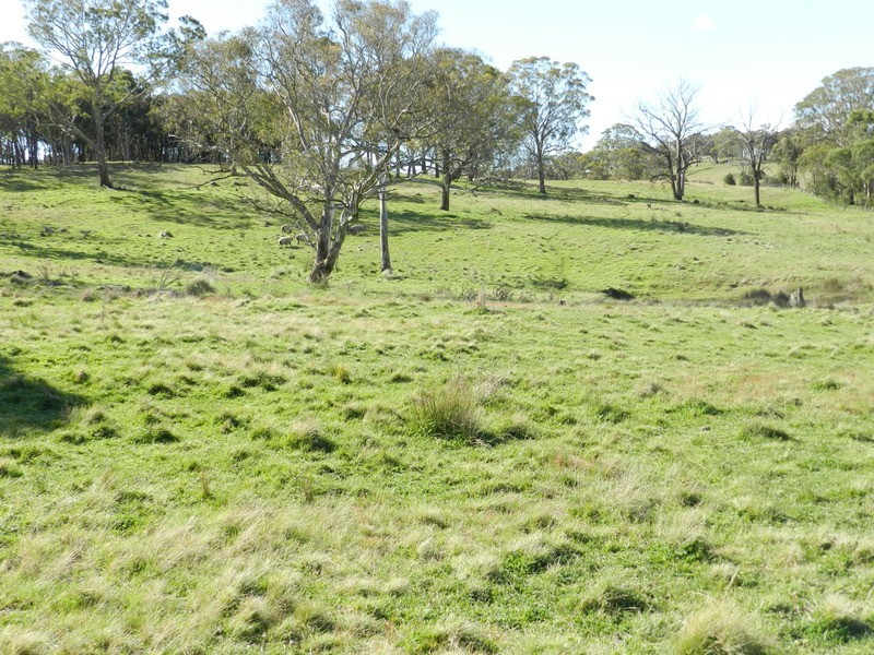 “Oak Hill” Mullins Creek  Road, Breadalbane NSW 2581