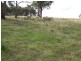 “Oak Hill” Mullins Creek  Road, Breadalbane NSW 2581