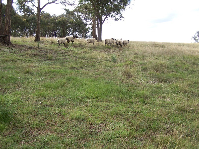 “Oak Hill” Mullins Creek  Road, Breadalbane NSW 2581