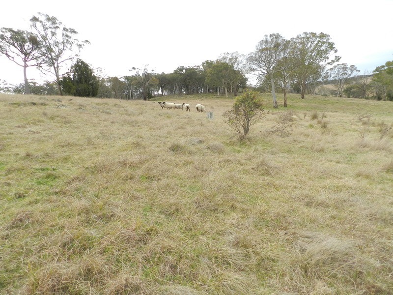 “Oak Hill” Mullins Creek  Road, Breadalbane NSW 2581