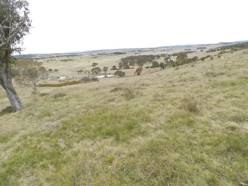 “Oak Hill” Mullins Creek  Road, Breadalbane NSW 2581