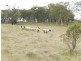 “Oak Hill” Mullins Creek  Road, Breadalbane NSW 2581