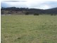 Lot 7 Bannaby Road, Bannaby NSW 2580