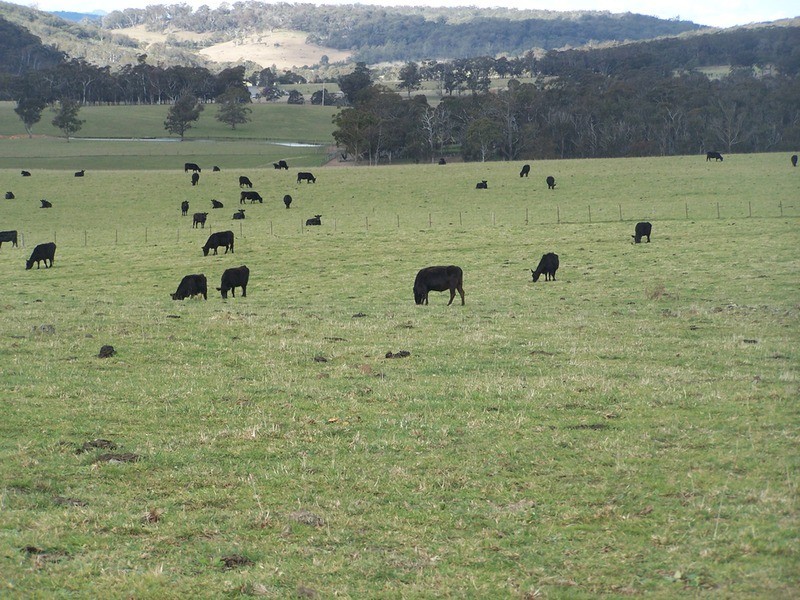 Lot 7 Bannaby Road, Bannaby NSW 2580