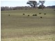 Lot 8 Bannaby Road, Bannaby NSW 2580