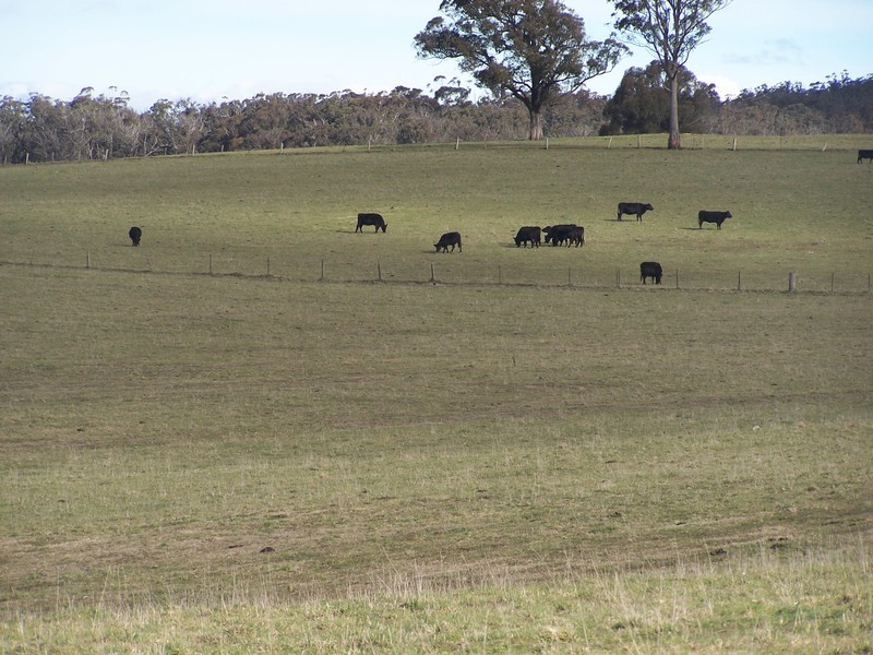 Lot 8 Bannaby Road, Bannaby NSW 2580