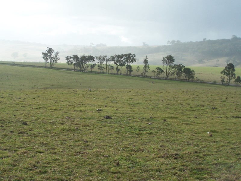 Lot 8 Bannaby Road, Bannaby NSW 2580