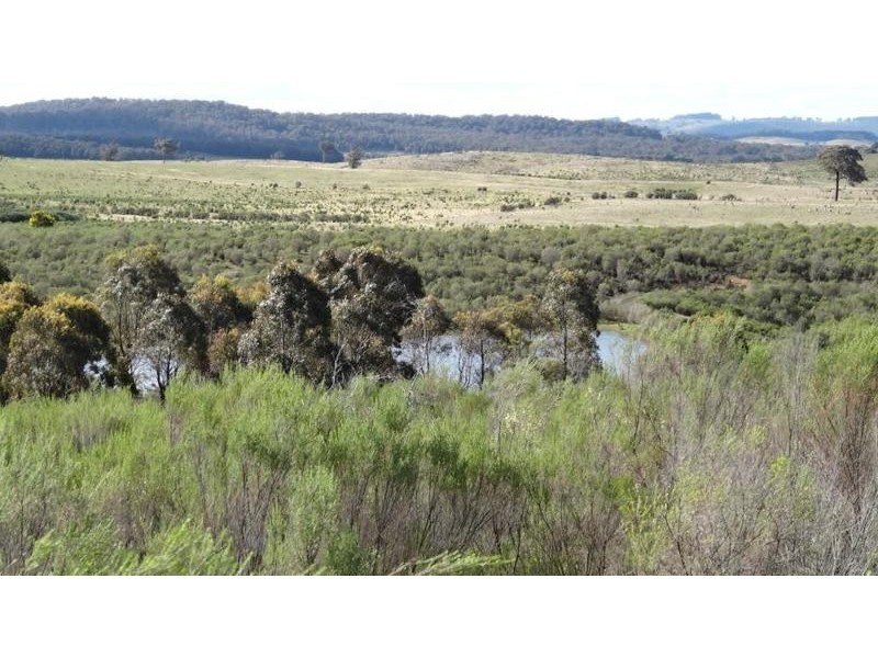 “Tarlo Vale East” Greywoodsiding   Road, Woodhouselee NSW 2580